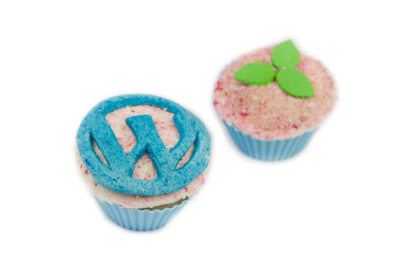 WordPress Tema Seçerken Dikkat Edilmesi Gereken 10 Nokta